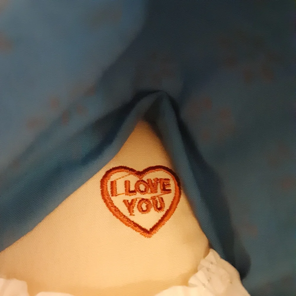 Raggedy Ann doll.